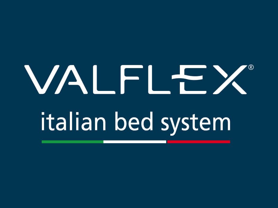 3.1 VALFLEX logo